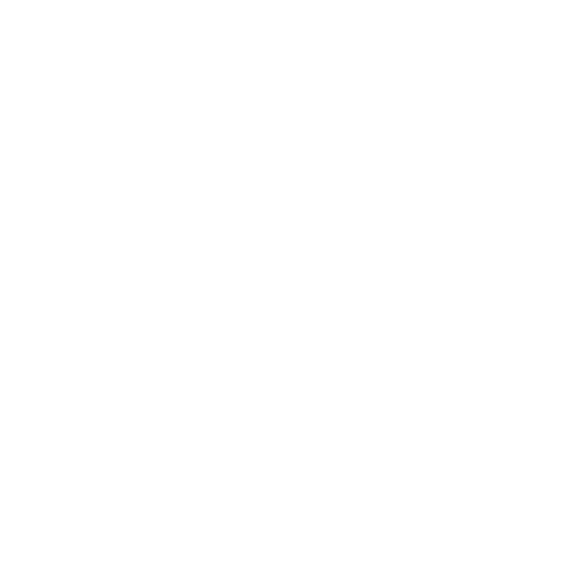 Vision Integration
