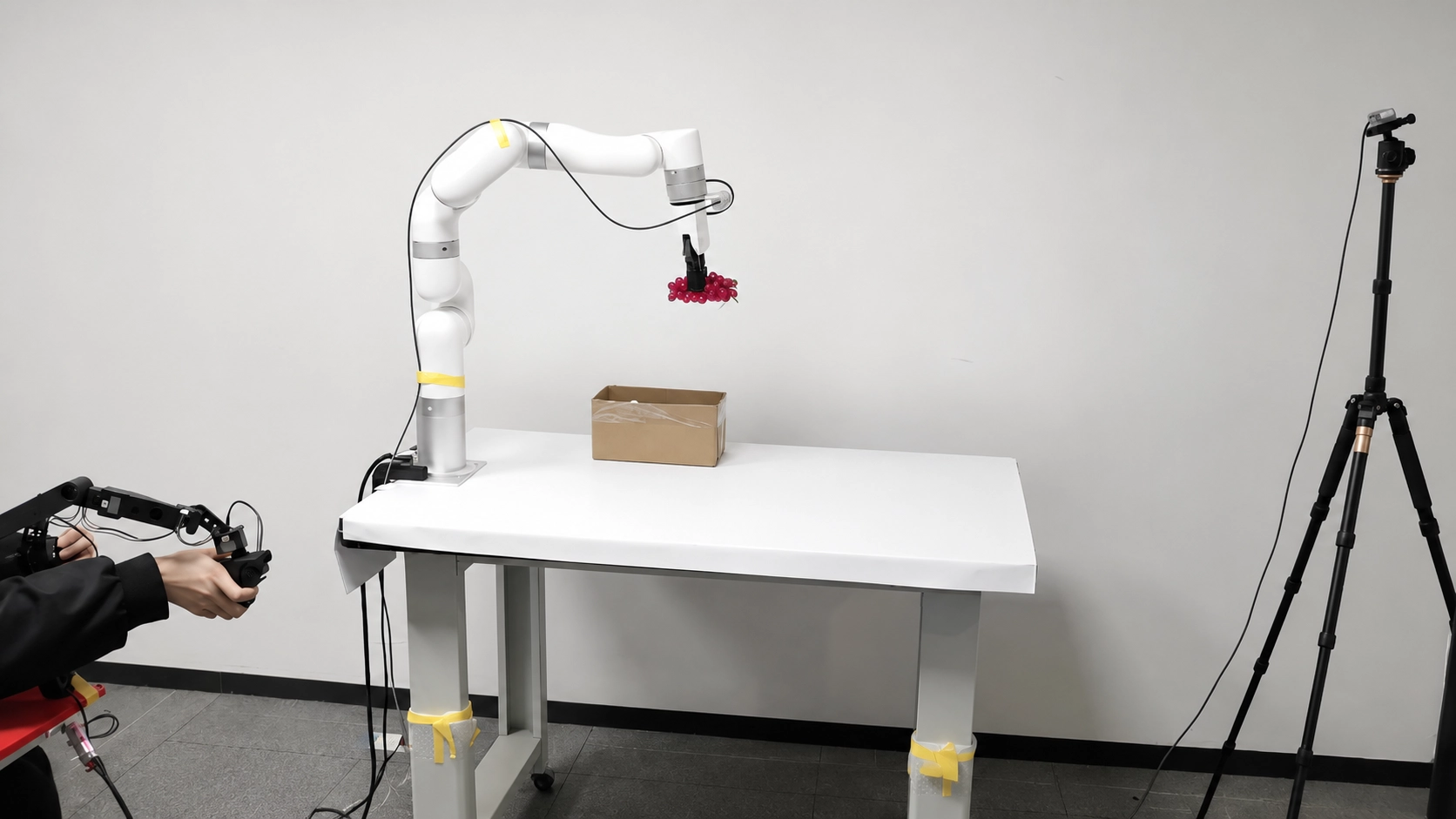 An xArm holds a bunch of grapes above a cardboard box during a teleoperated imitation-learning demonstration