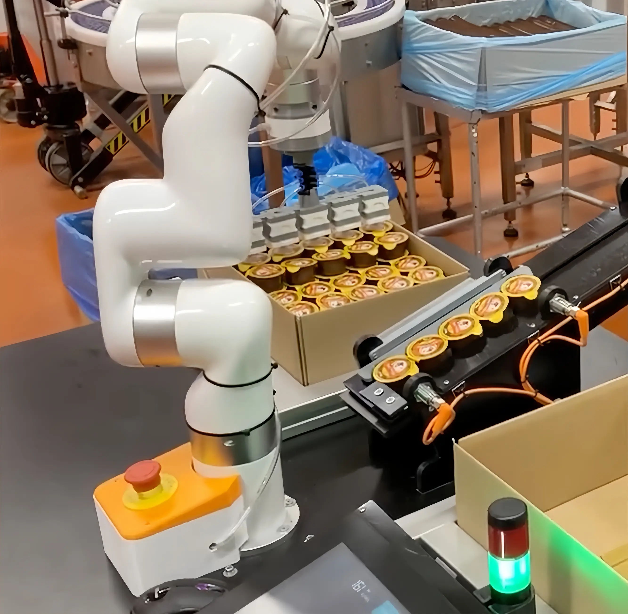 Close-up of the UFACTORY xArm precisely placing multiple food containers into a cardboard box on the packaging line