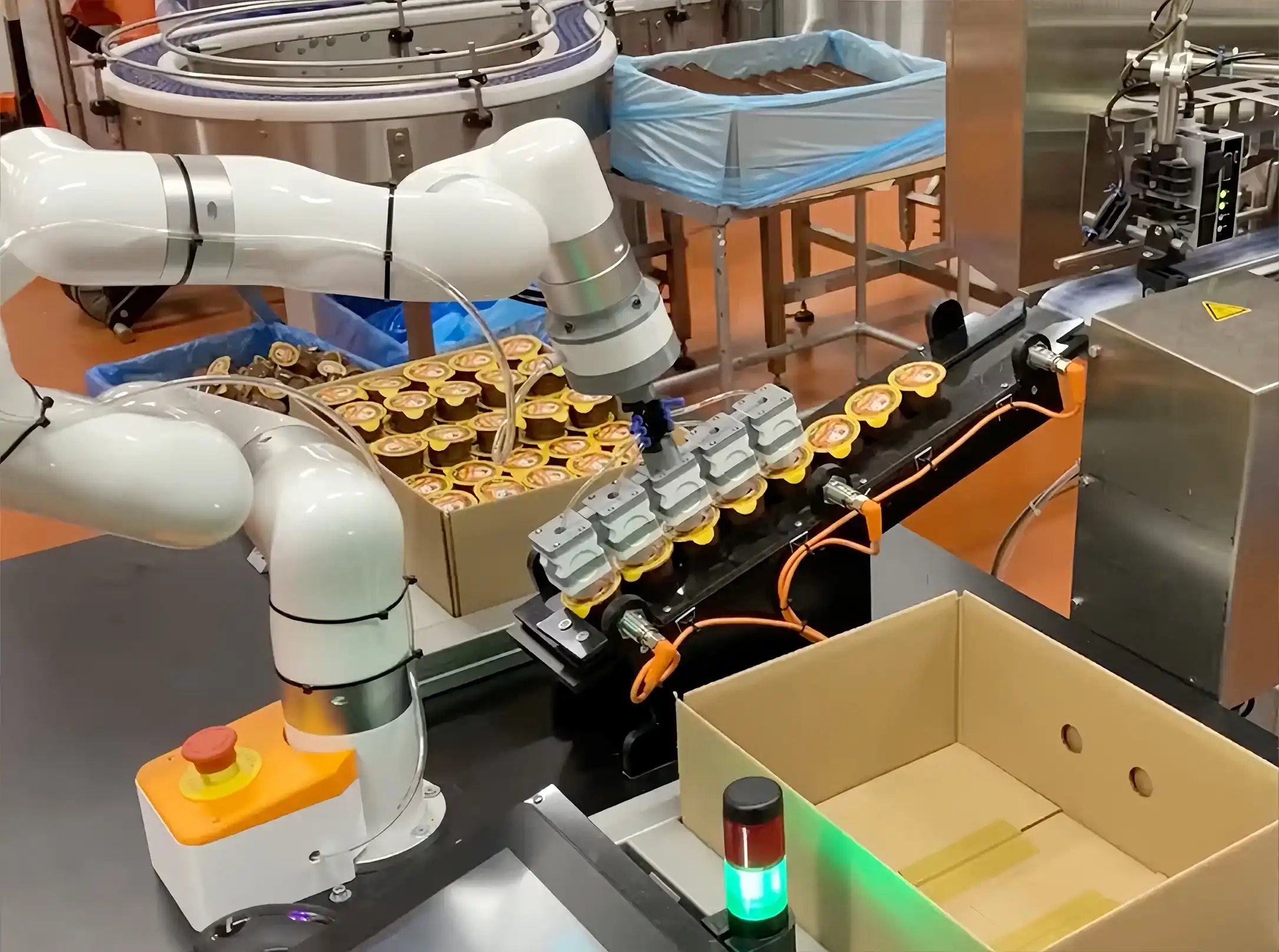 UFACTORY xArm协作机器人在紧凑型装箱工作站中从传送带上抓取包装食品